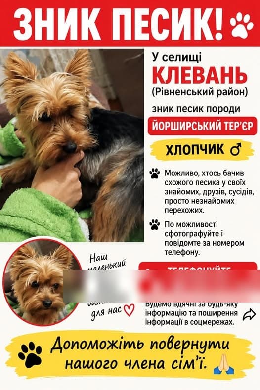 Фото: Загублено песика