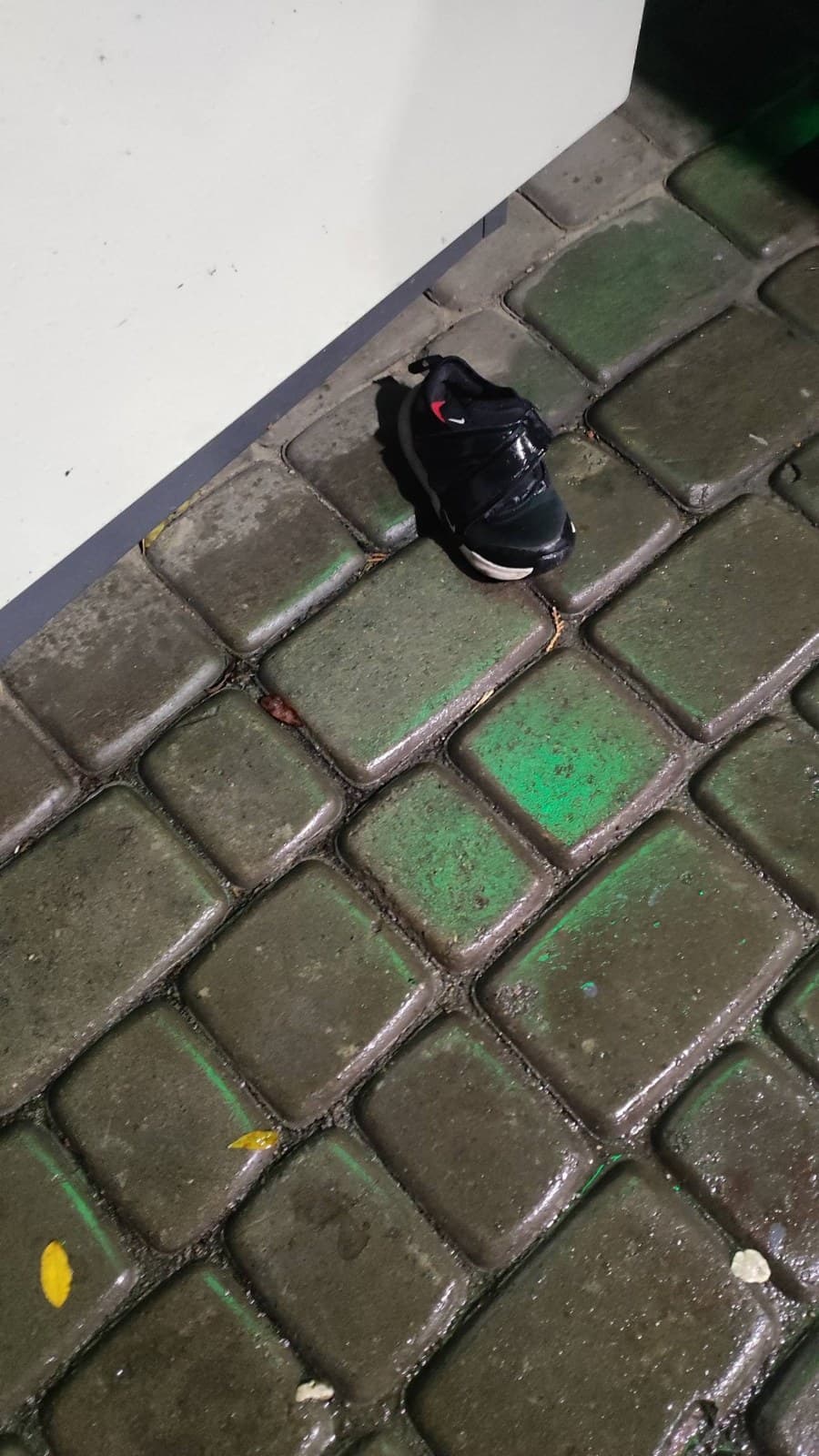 Фото: Знайдено дитячий кросівок Nike