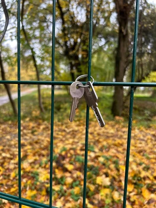 Фото: Загублено ключі